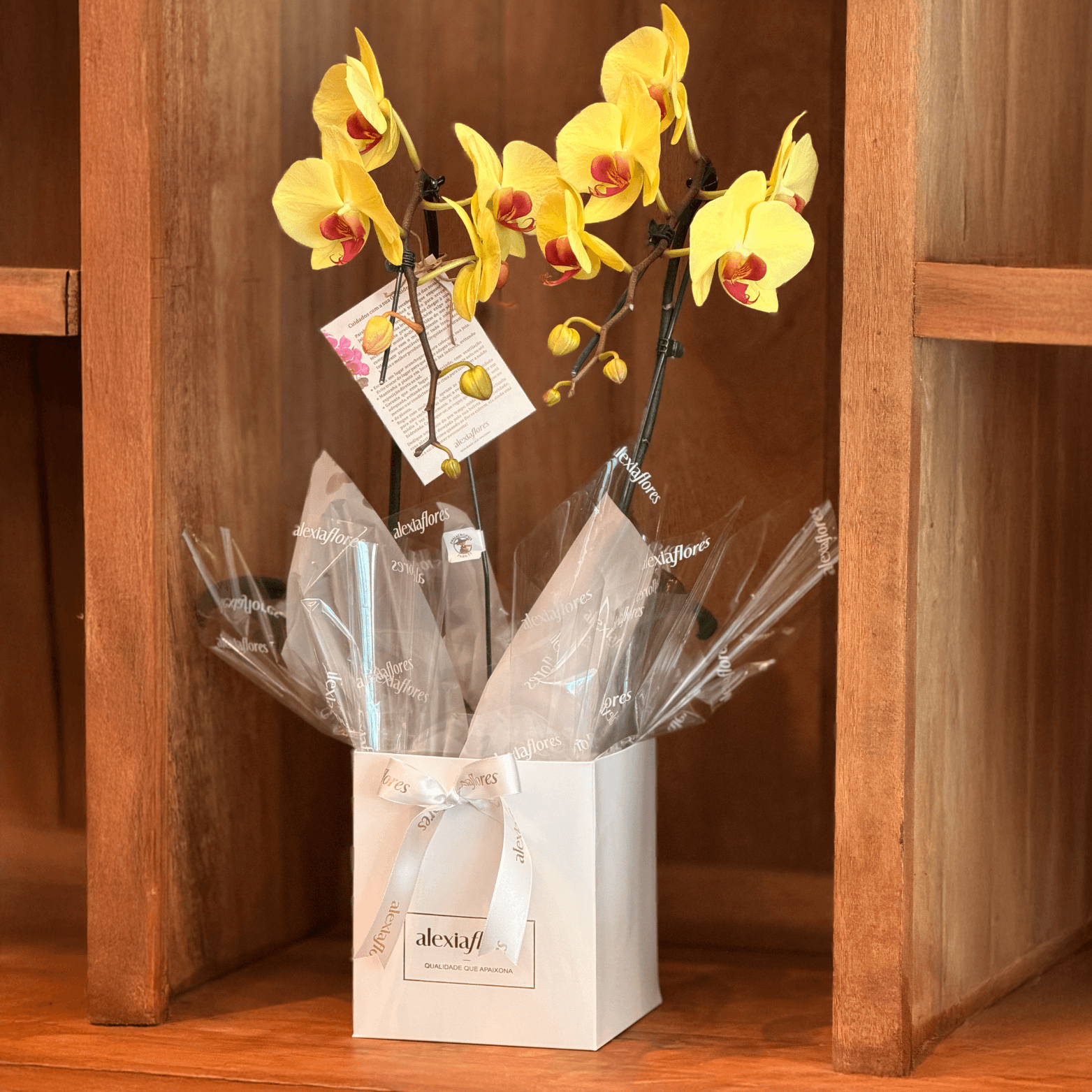 thumb-orquidea-amarela-com-3-hastes-1