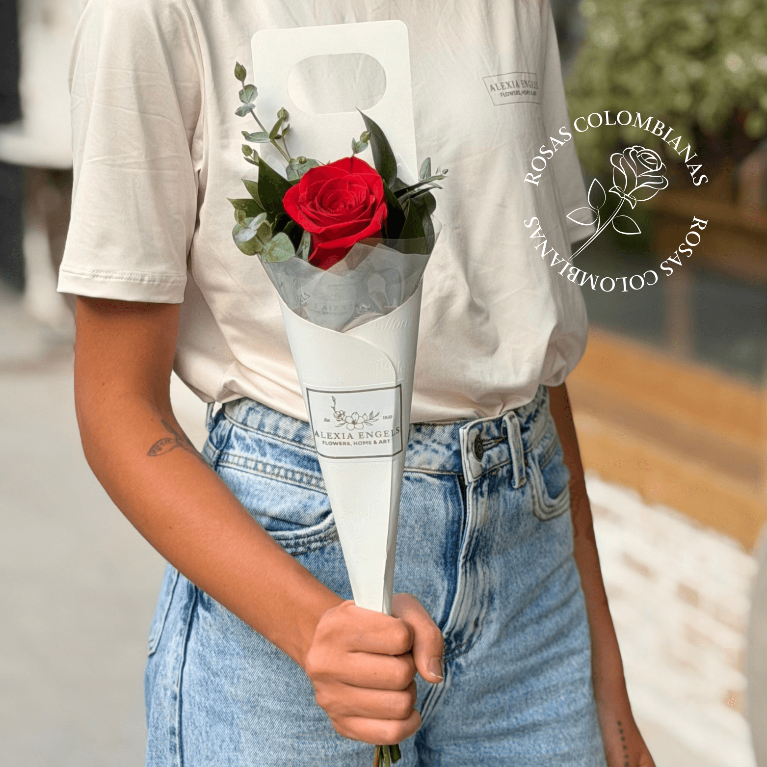 thumb-cone-com-1-rosa-vermelha-0