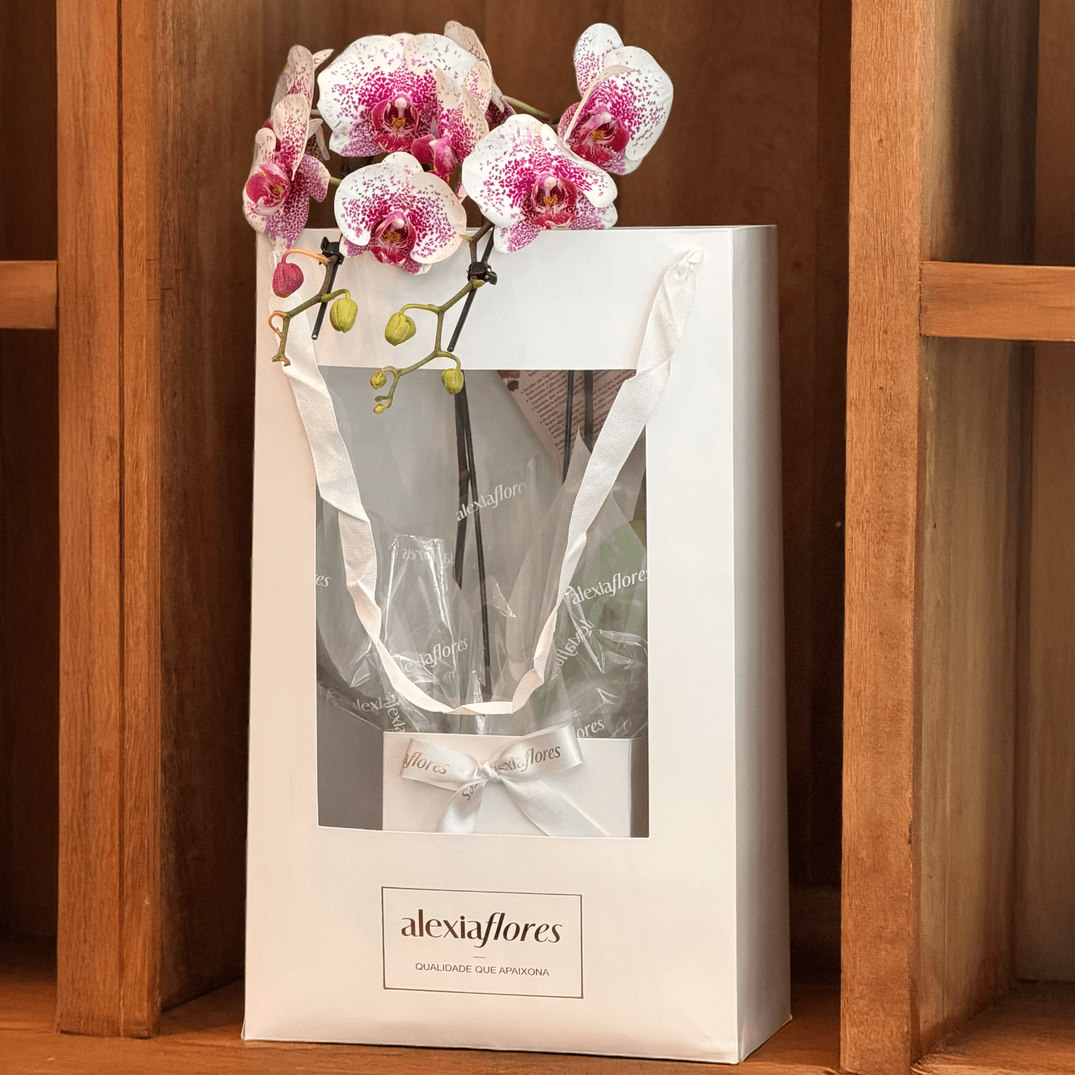 thumb-orquidea-branca-com-rosa-com-2-hastes-0