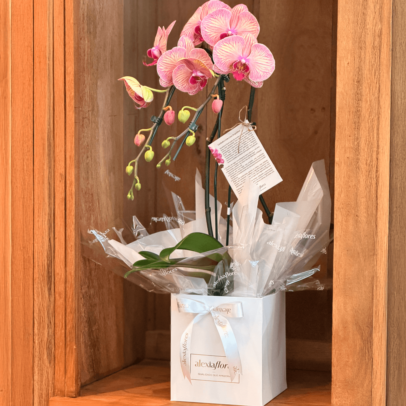 thumb-orquidea-rosa-mesclada-com-2-hastes-0