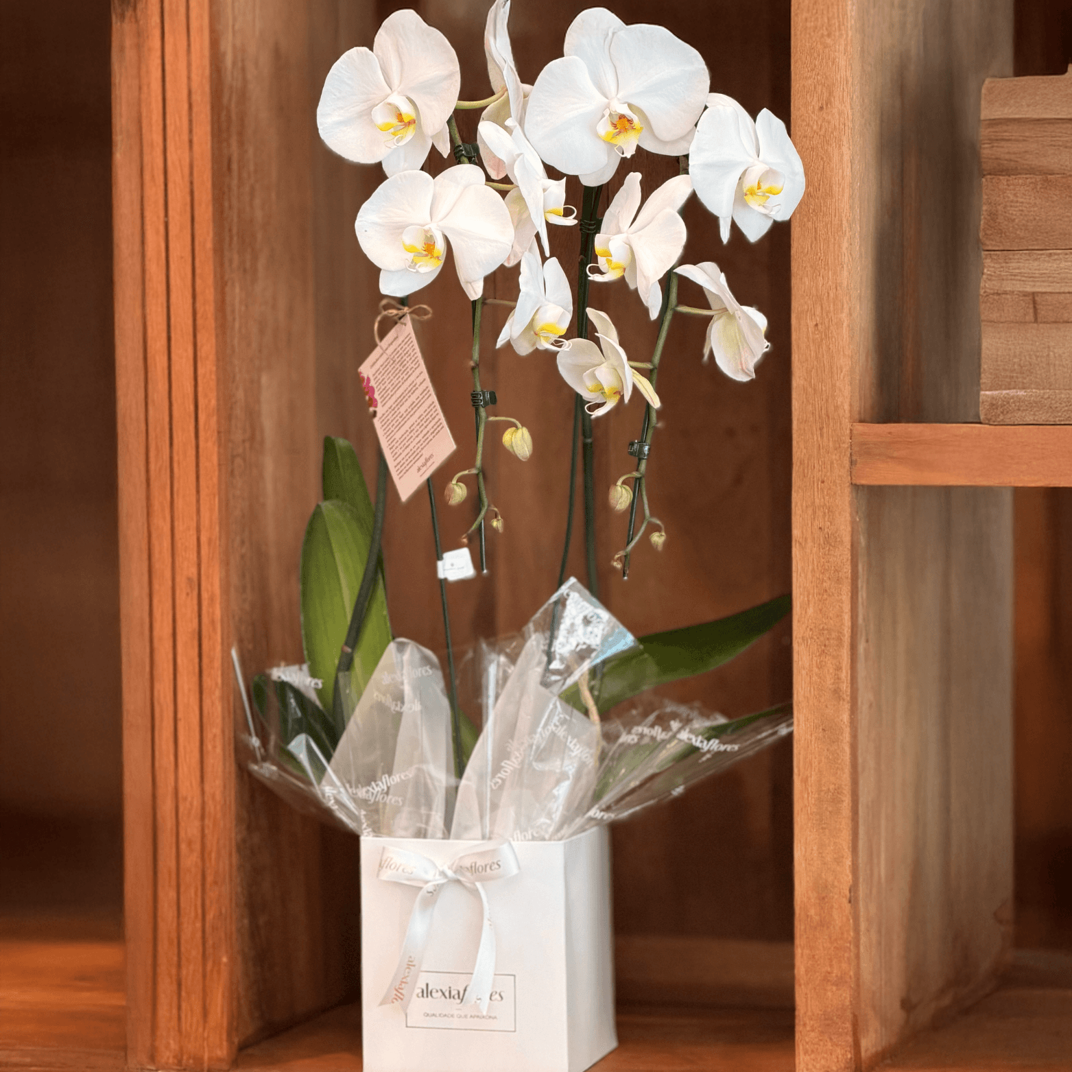 thumb-orquidea-branca-2-hastes-1