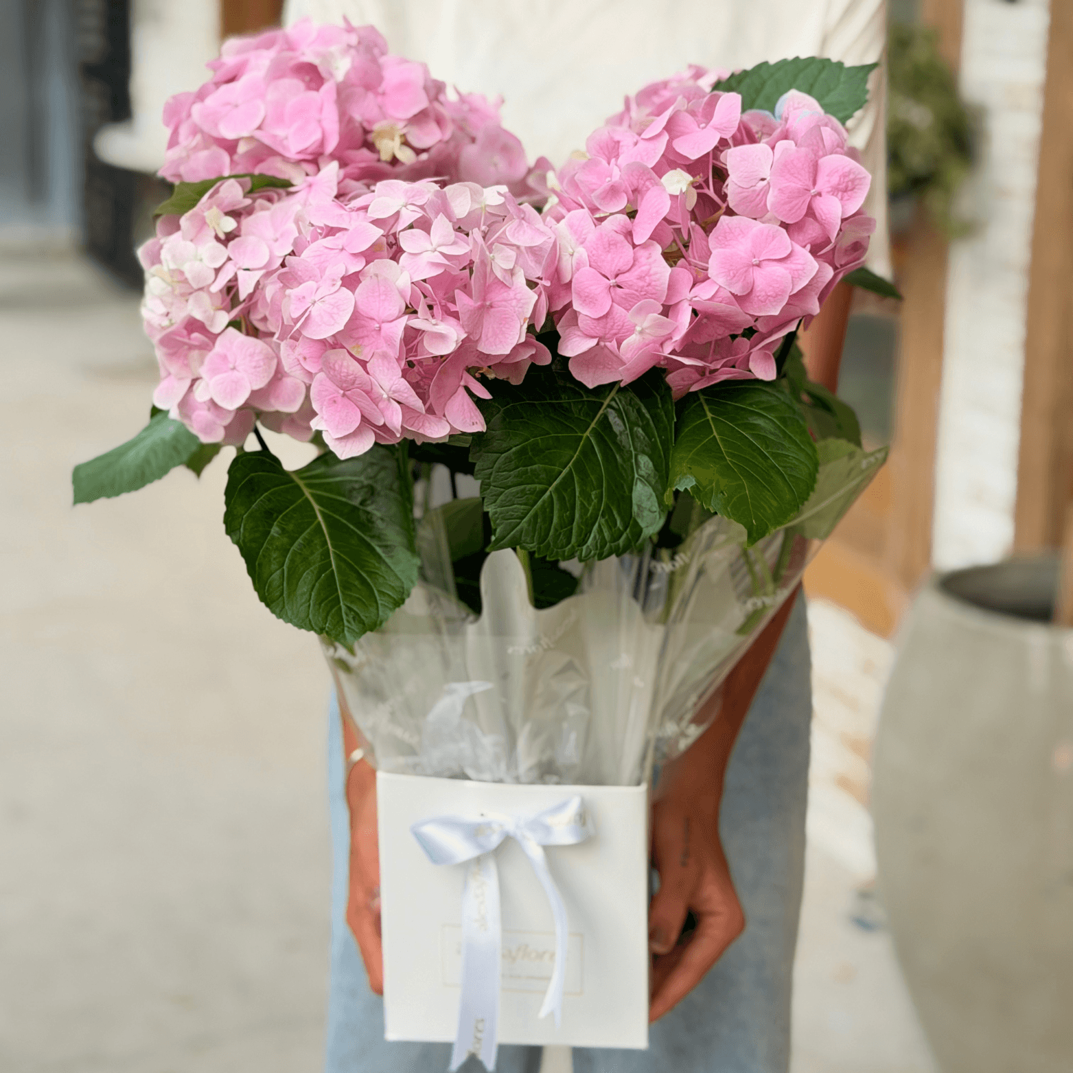 thumb-hortensia-plantada-cor-de-rosa-0