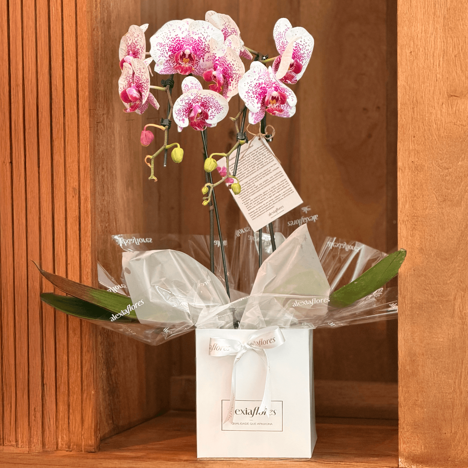 thumb-orquidea-branca-com-rosa-com-2-hastes-1