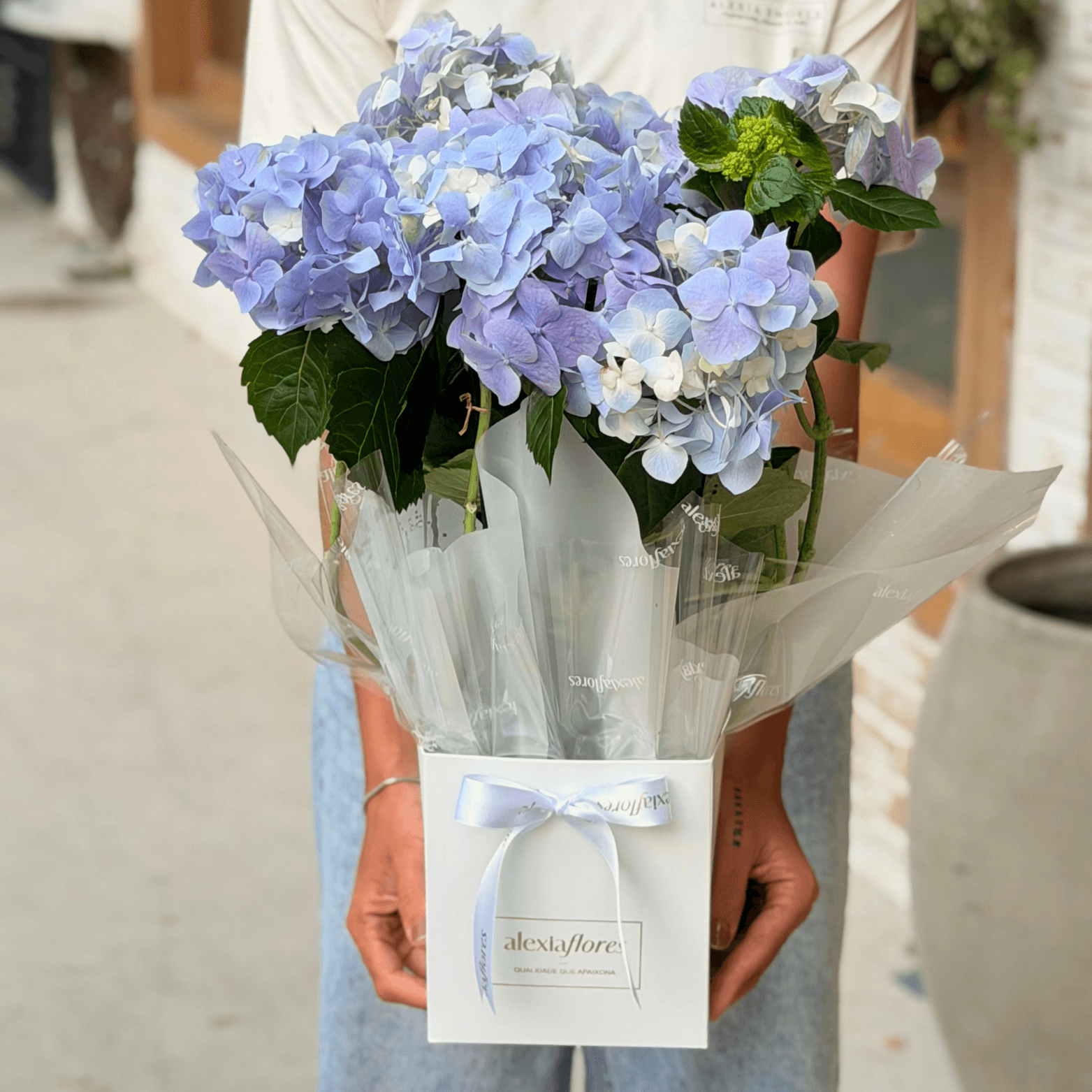 Hortênsia Plantada (Azul)