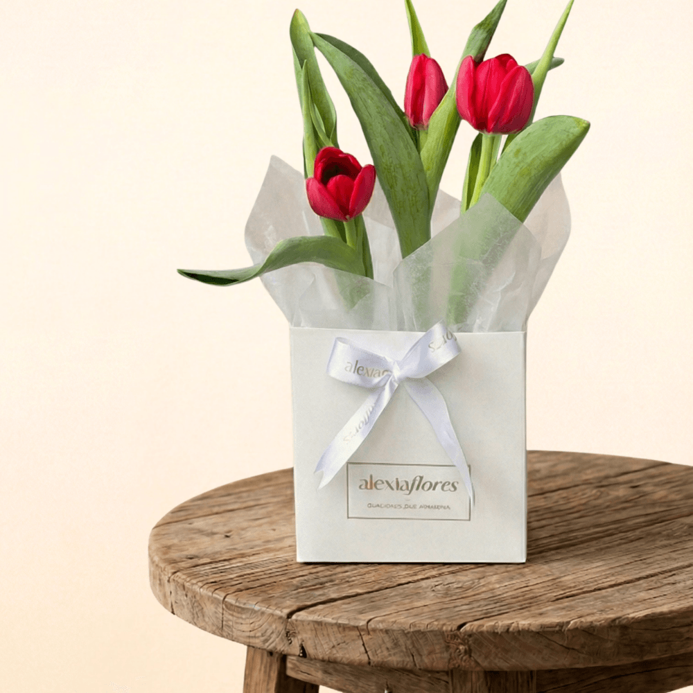 Tulipa Plantada (Vermelha)