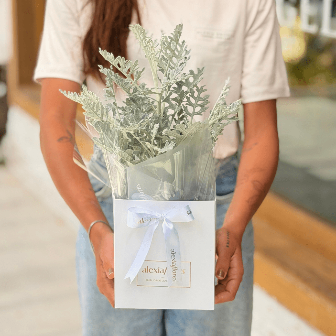 Cinerária Marítima