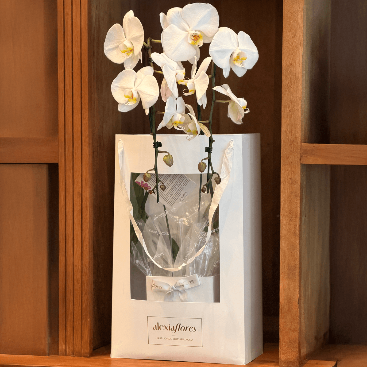 thumb-orquidea-branca-2-hastes-0