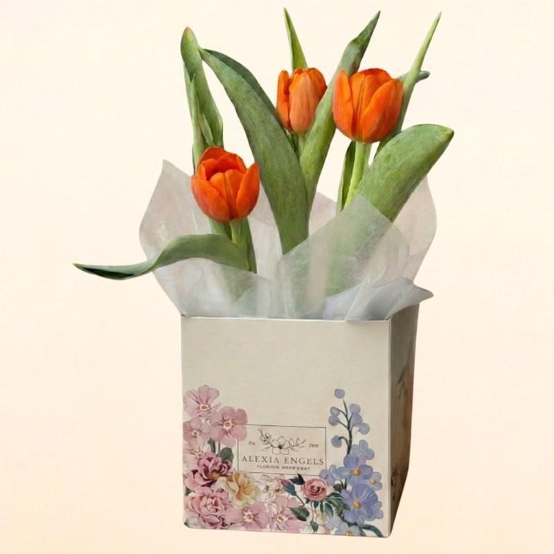 thumb-tulipa-plantada-laranja-0