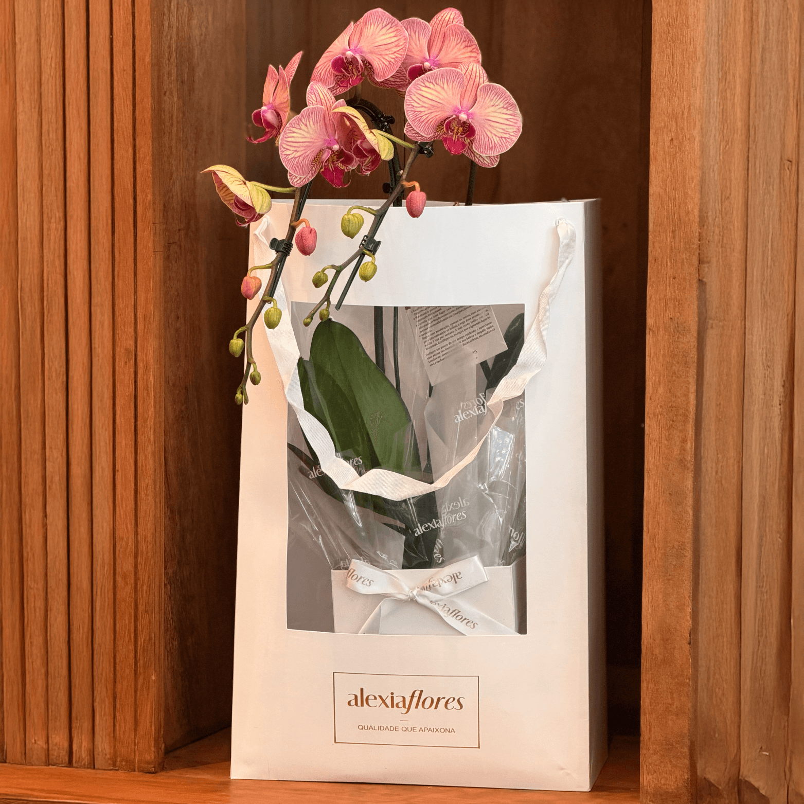 thumb-orquidea-rosa-mesclada-com-2-hastes-1