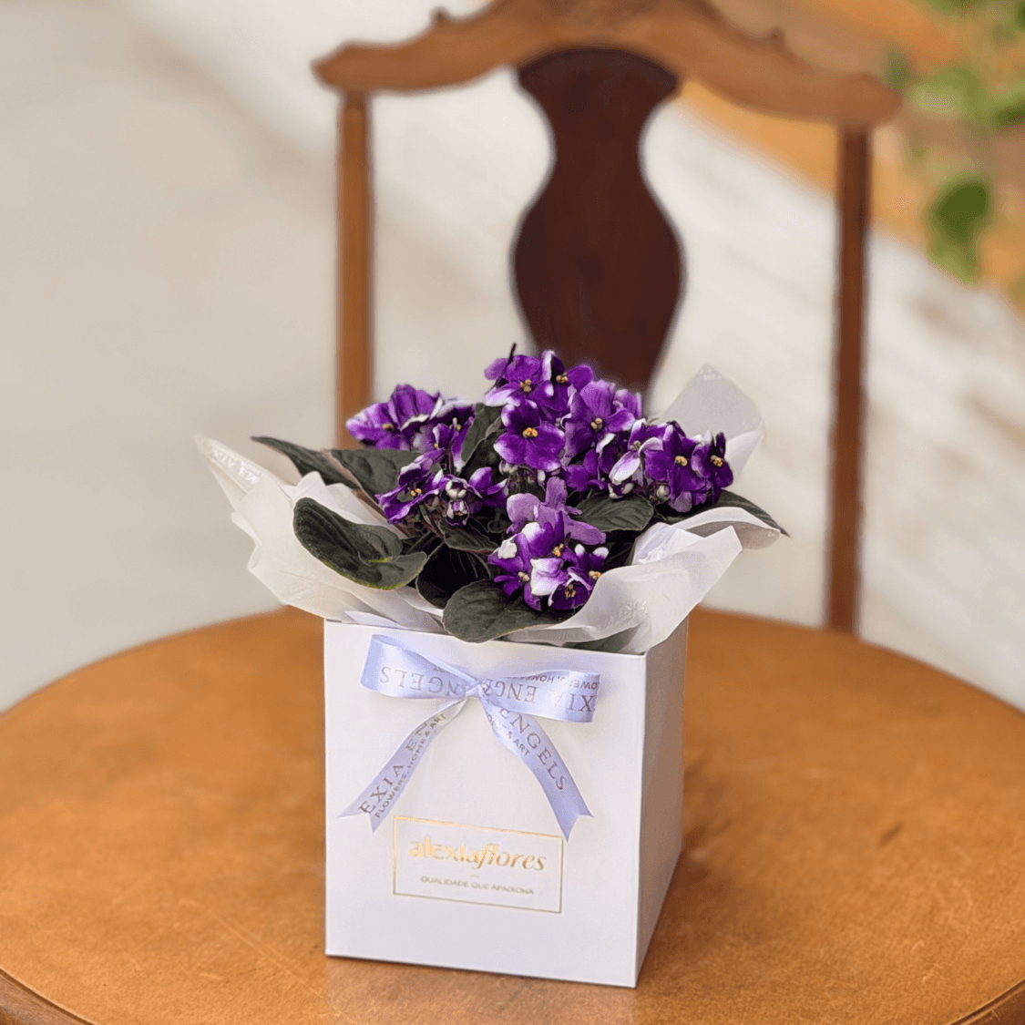 Violeta (Roxa com Detalhes)