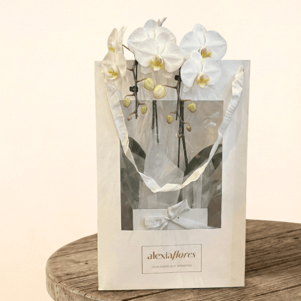 thumb-orquidea-com-2-hastes-cor-branca-0