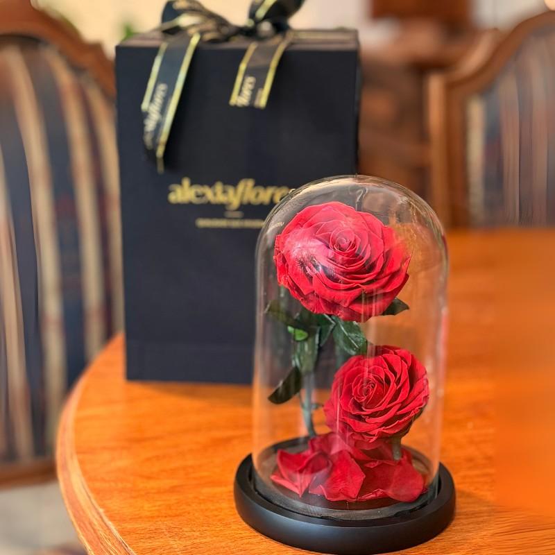 thumb-rosas-preservadas-joia-eterna-0
