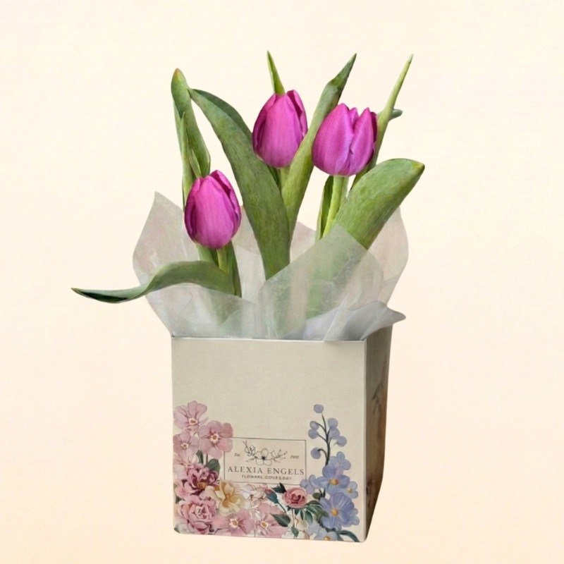 1198 Tulipa Plantada (Roxa)