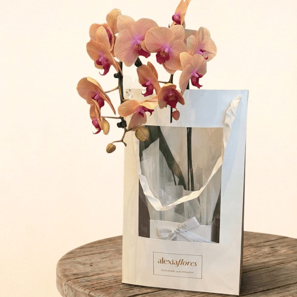 Orquidea com 2 Hastes Cor Rosa Mesclada