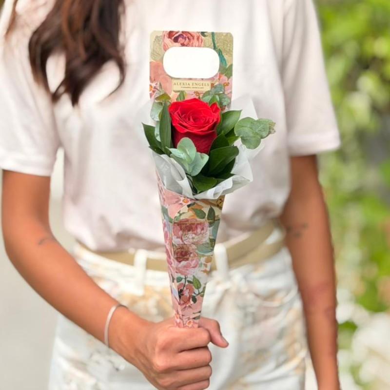 thumb-cone-com-1-rosa-vermelha-0