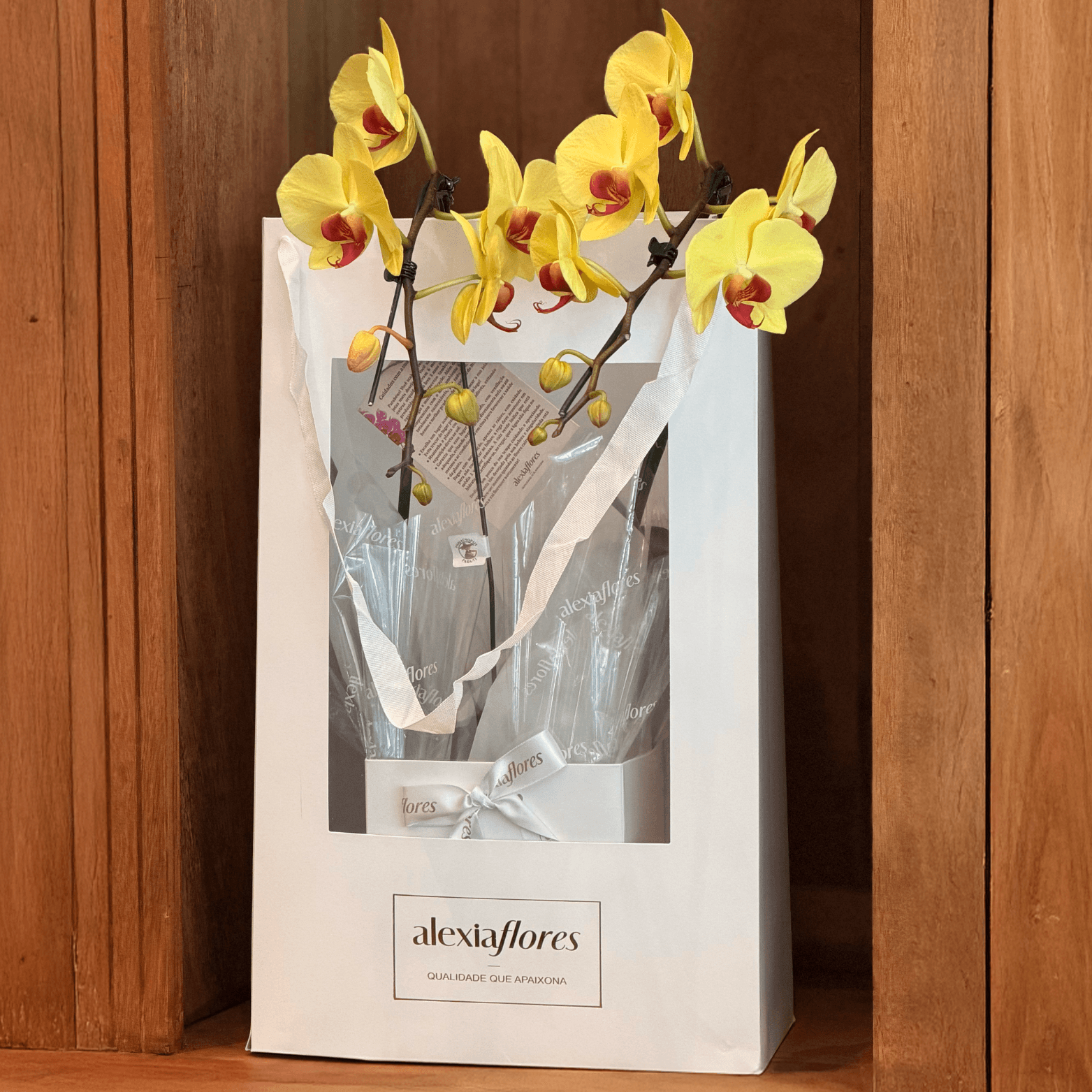 thumb-orquidea-amarela-com-3-hastes-0